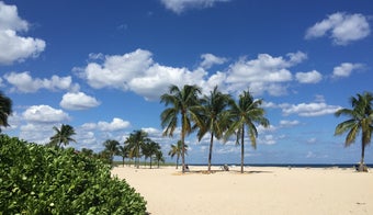 The 15 Best Places for People Watching in Fort Lauderdale