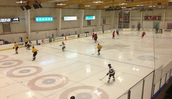 The 9 Best Places for Hockey in San Jose