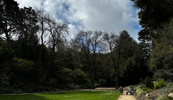 The 15 Best Gardens in San Francisco