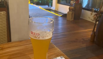The 7 Best Places for Lagers in Singapore