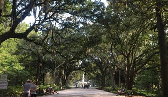 The 15 Best Places for Park in Savannah