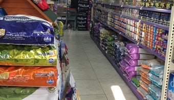 The 15 Best Pet Supplies Stores in Istanbul