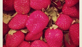 The 15 Best Places for Strawberries in Barcelona