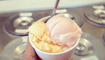 The 11 Best Ice Cream Shops in Santa Monica