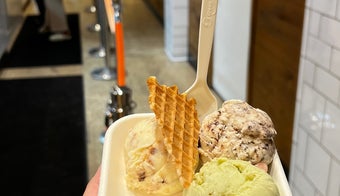 The 15 Best Places for Butter Pecan in Chicago