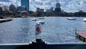 The 15 Best Fun Activities in Boston