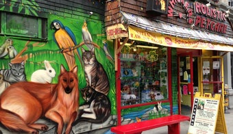 The 15 Best Places for Pets in the East Village, New York