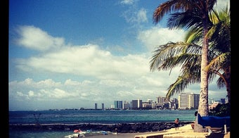 The 13 Best Places for Artichoke Hearts in Honolulu