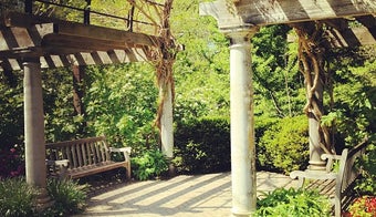 The 15 Best Places with Gardens in Cincinnati