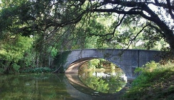 The 13 Best Places for Ponds in New Orleans