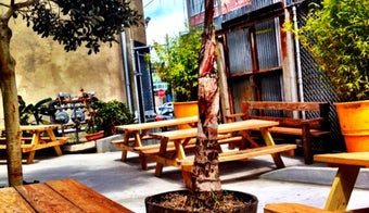 The 13 Best Places for Sage in the Mission District, San Francisco