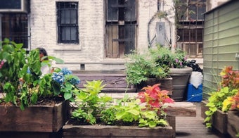 The 15 Best Places for Backyard in New York City