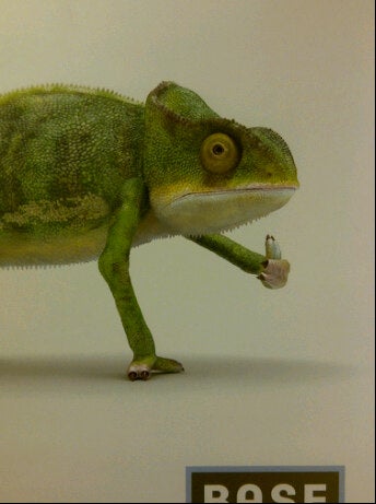 electronics-store