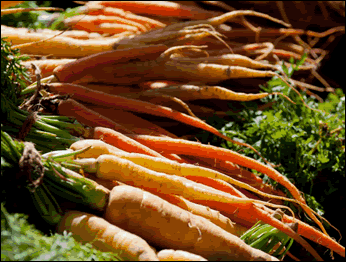 photo of WFC Greenmarket