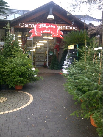 flower-shop