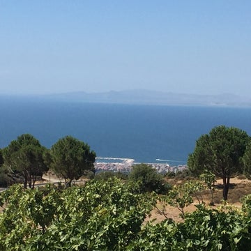 EGE SEFASI Kahvaltı