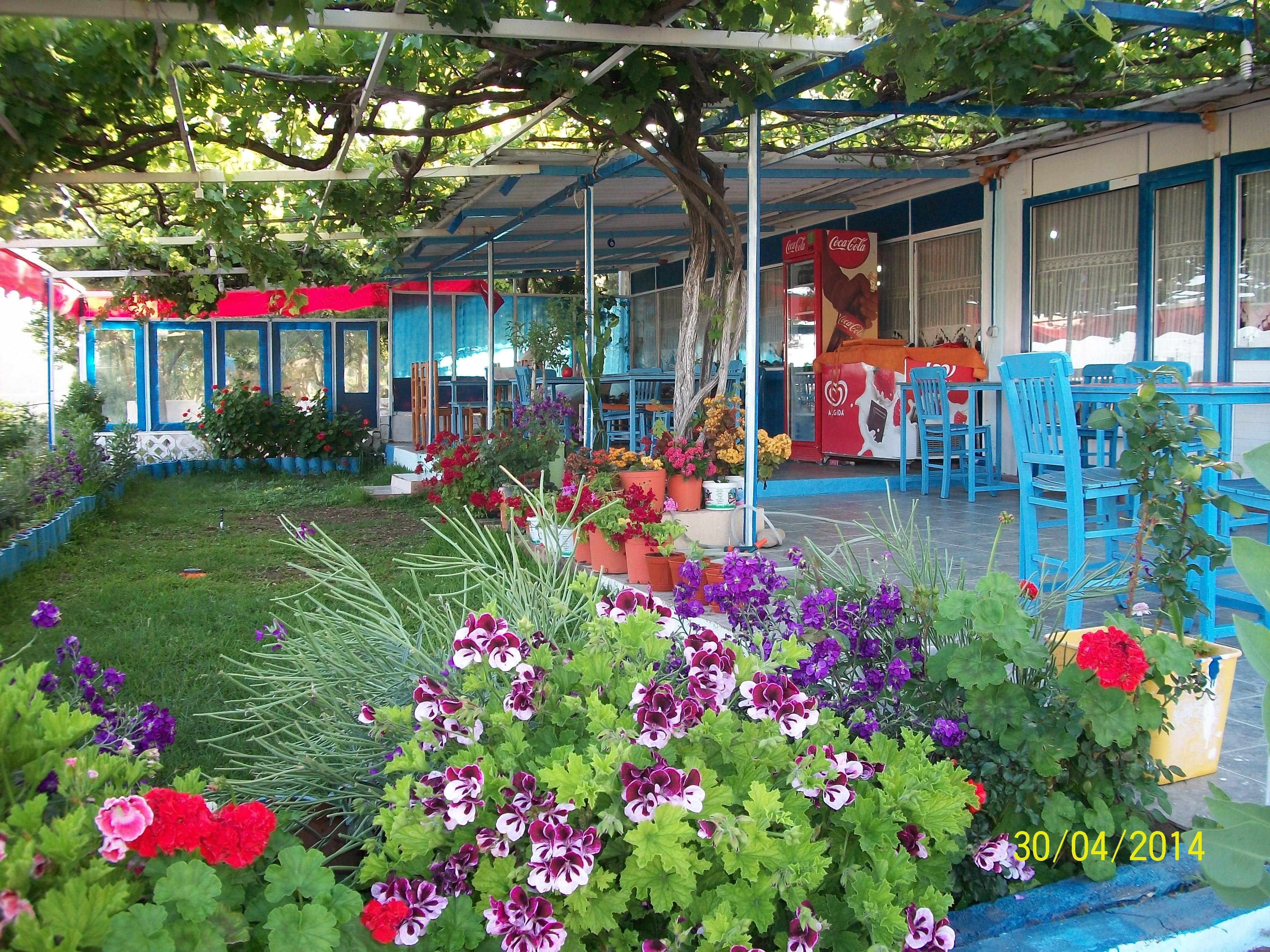 turkish-home-cooking-restaurant
