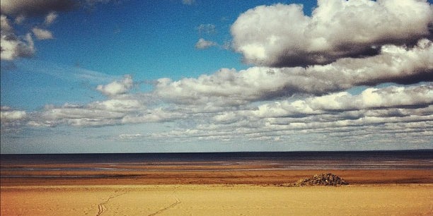 Sestroretsk Beach (Пляж «Сестрорецкий»)