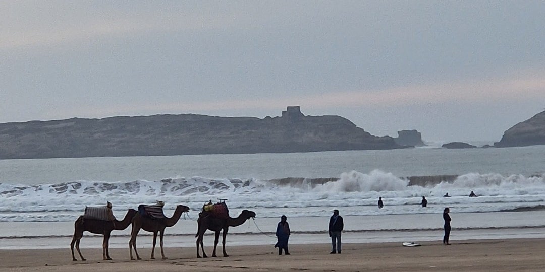 Essaouira Beach