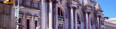 The Metropolitan Museum of Art (Metropolitan Museum of Art)