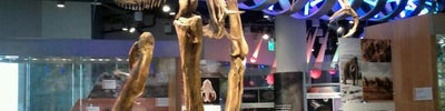 North Carolina Museum of Natural Sciences