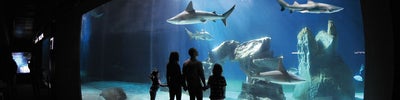 Acquario di Genova