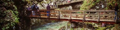 Soteska Vintgar (Gorge / Klamm / Gola)