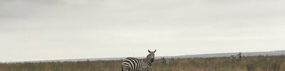 Nairobi National Park