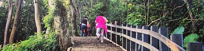 Xiangshan Hiking Trail (象山登山步道)