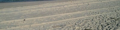 Nauset Beach