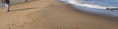 The Beach - Rehoboth Beach