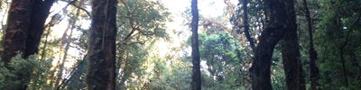 Kew Mae Pan (กิ่วแม่ปาน)