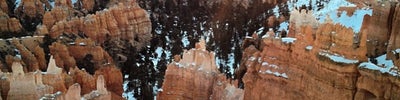 Navajo Loop Trail