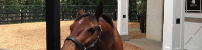 Kentucky Derby Museum