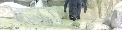 Scott Aquarium