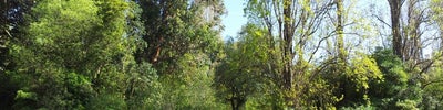 Jardim da Fundação Calouste Gulbenkian