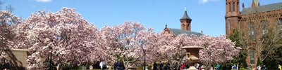Enid A. Haupt Garden