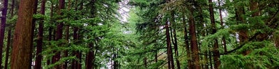 Mt. Tabor Park