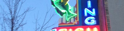 Flying Fish