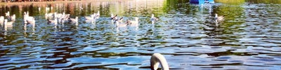 Hyde Park