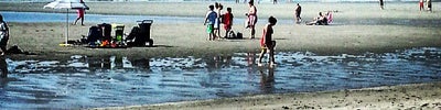 Good Harbor Beach