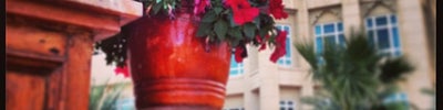 Four Seasons Hotel Doha (فندق فور سيزونز الدوحة)