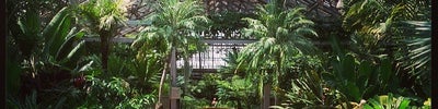 Garfield Park Conservatory