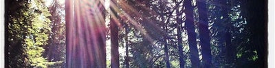 Olympic National Park