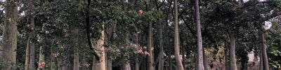 Jardines del Túria