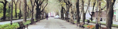 Приморский бульвар / Primorskiy Boulevard (Приморський бульвар)