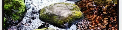 Point Defiance Park