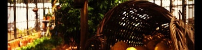 Babylonstoren