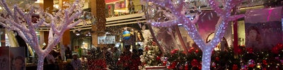 Oakland Mall