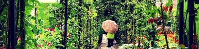 Jardines Bajos del Generalife